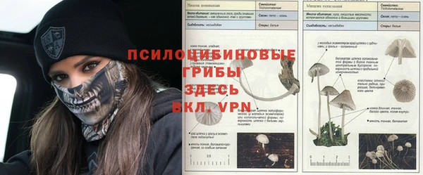 прущие грибы Алексеевка