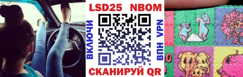 Наркотические марки 1,8мг где продают наркотики Южно-Сухокумск