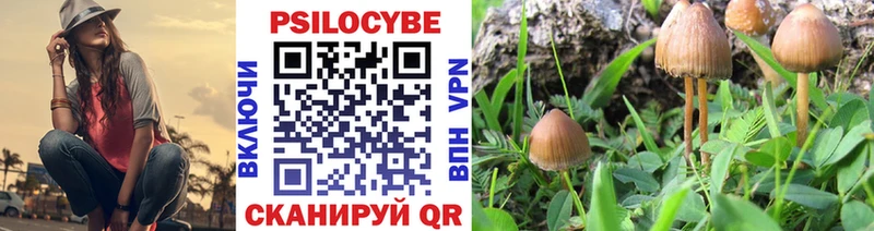 Галлюциногенные грибы MAGIC MUSHROOMS  Южно-Сухокумск 
